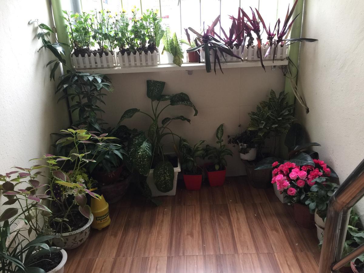 Cozy Homestay Ханой Екстериор снимка